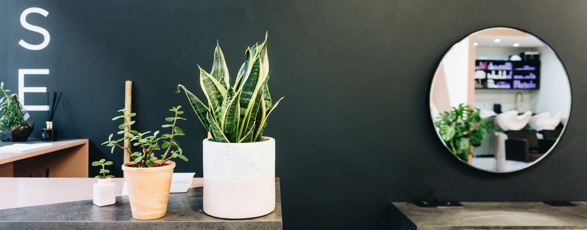 SALONの店内画像